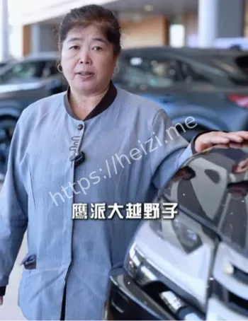 保洁阿姨土味说车视频走红